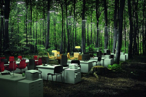 Креативная бизнес-идея: открываем офис в лесу
