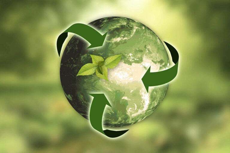 Экологическое погребение: бизнес-идея будущего!